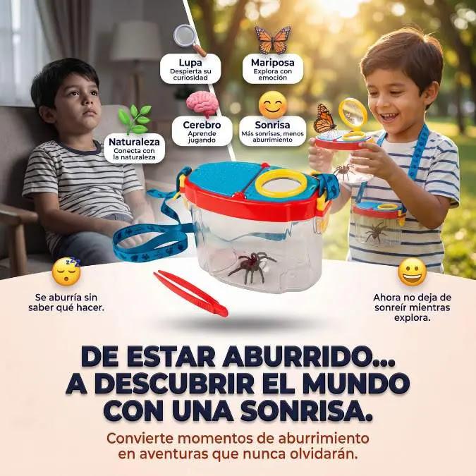 Cajalupa Observacion Insectos Para Ninos