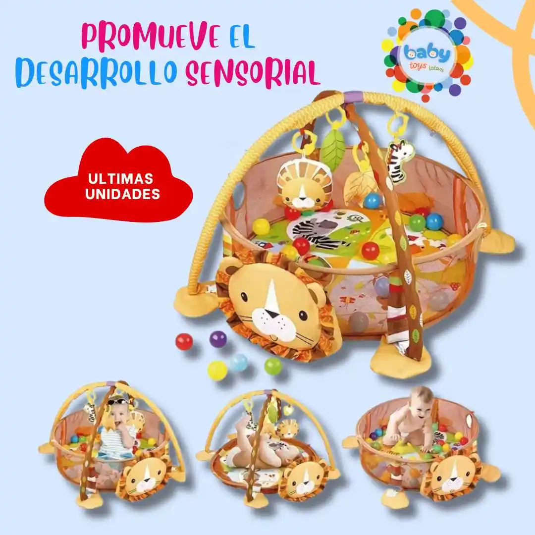 GIMNASIO PARA BEBE 👶3 EN 1